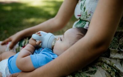 Czym karmić suczkę po porodzie, aby wspierać jej zdrowie?