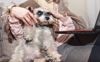 Czy można strzyc psa maszynką dla ludzi?