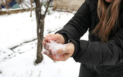 Czy pchły giną na mrozie?