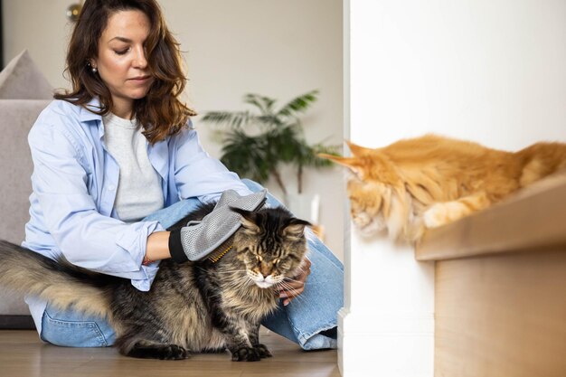 Jak dbać o kota perskiego na co dzień?