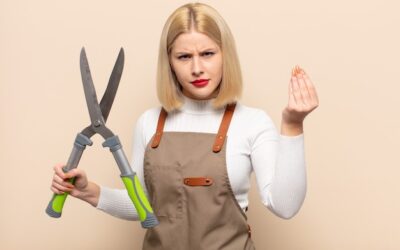 Jak obcinać westa, aby zachować jego charakterystyczny wygląd?