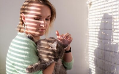 Jak zwalczyć pchły u kota domowym sposobem?