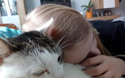 Pchły u kota objawy które powinny zwrócić uwagę?