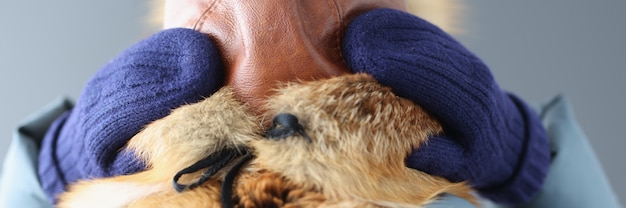 Przeziębiony pies objawy które powinny zwrócić Twoją uwagę