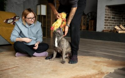 Atak psa co robić w takiej sytuacji?