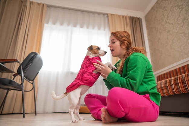 Co zrobić, jak psy się gryzą?