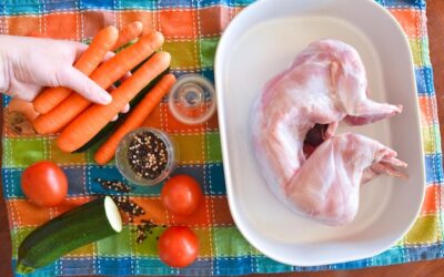 Czy pies może jeść mięso z kurczaka?