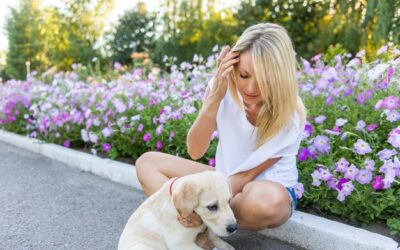 Dlaczego pies na mnie szczeka i jak to zrozumieć?