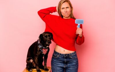 Dlaczego warto wykastrować psa i o czym pamiętać przed zabiegiem?