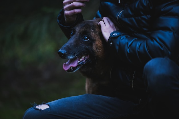 Gdzie zgłosić agresywnego psa i jakie kroki warto podjąć?