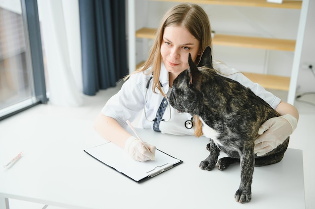 Ile kosztuje pierwsza wizyta u weterynarza z psem?