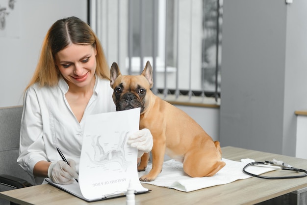 Ile kosztuje poród psa u weterynarza i od czego zależy cena?