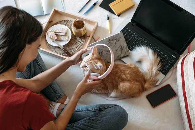 Jak przygotować psa na kota w domu?