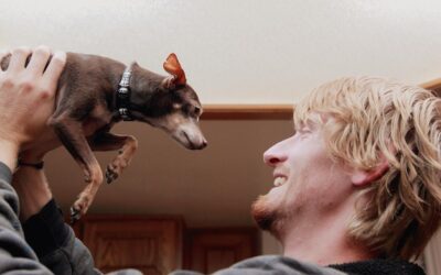 Jak rozpoznać strach u psa objawy?