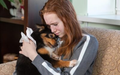 Lęk separacyjny u psa jak leczyć i wspierać pupila?