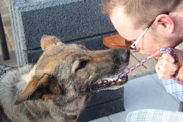 Co zrobić gdy pies jest agresywny wobec innych psów?