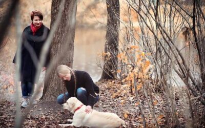 Dlaczego pies atakuje inne psy i jak temu zaradzić?
