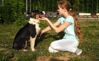 Jak nauczyć psa by nie gryzł domowników i gości?