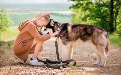 Jak oduczyć psa warczenia w domu?