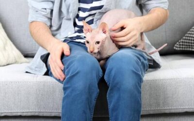 Jaka ilość trutki na szczury może zabić kota?