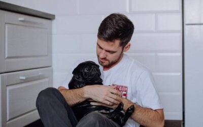 Kiedy zstępują jądra u psa i czy zawsze przebiega to prawidłowo?