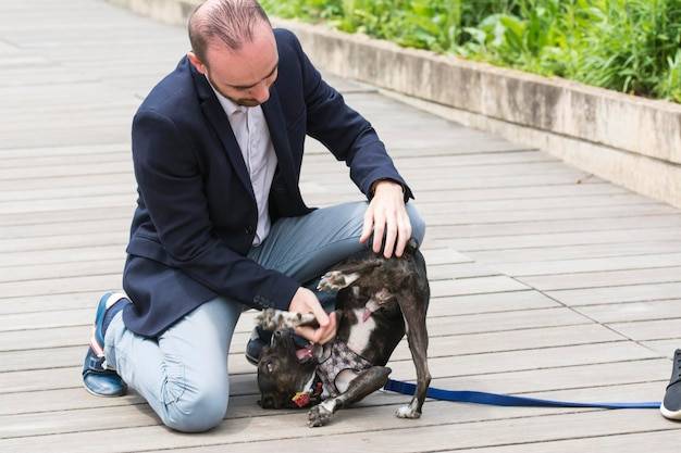 Pies warczy na właściciela co robić w takiej sytuacji?