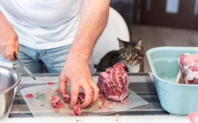 Surowe mięso dla psa jakie wybrać dla domowego pupila?